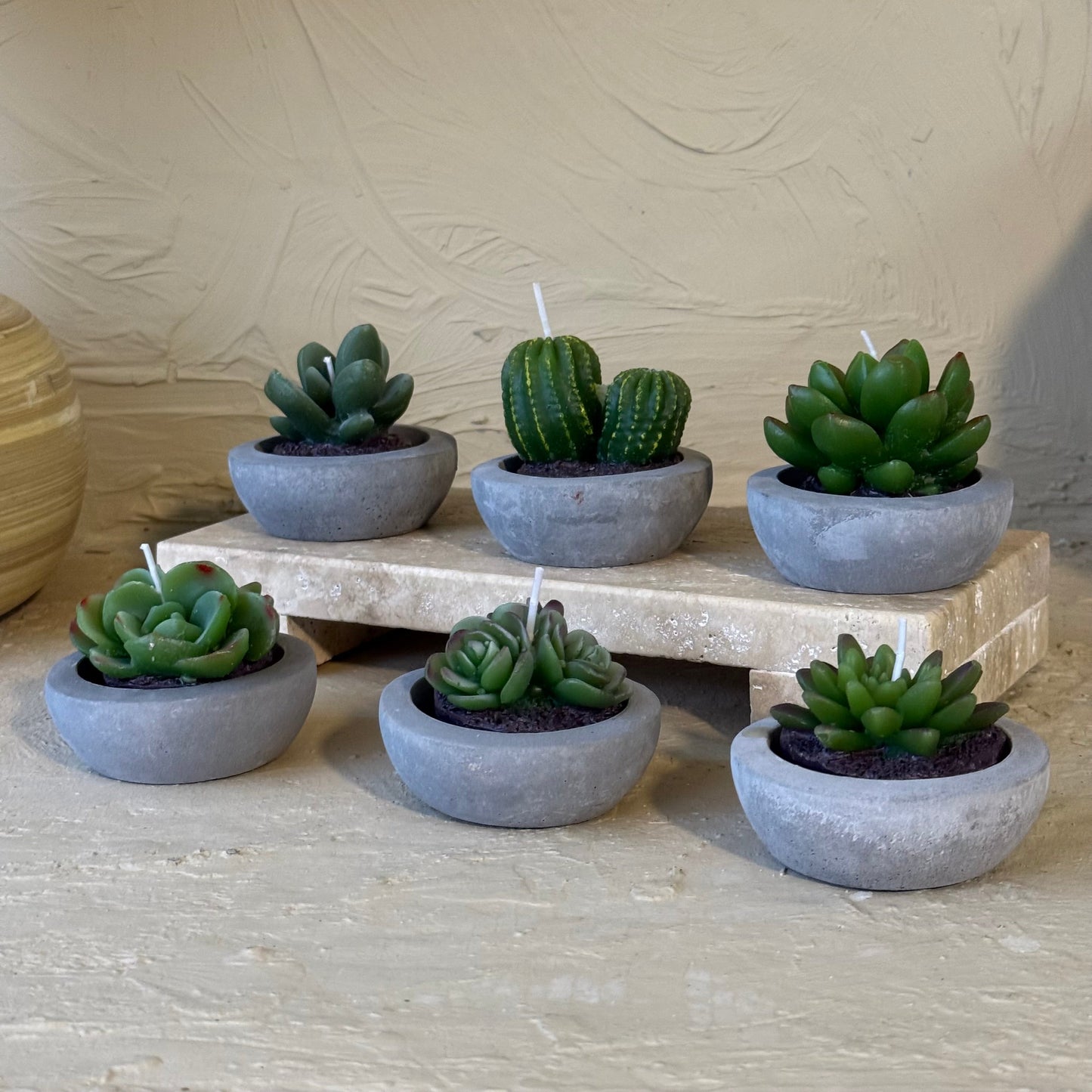 Tutku 6 Adet Kaktüs Mum Seti 8 cm
