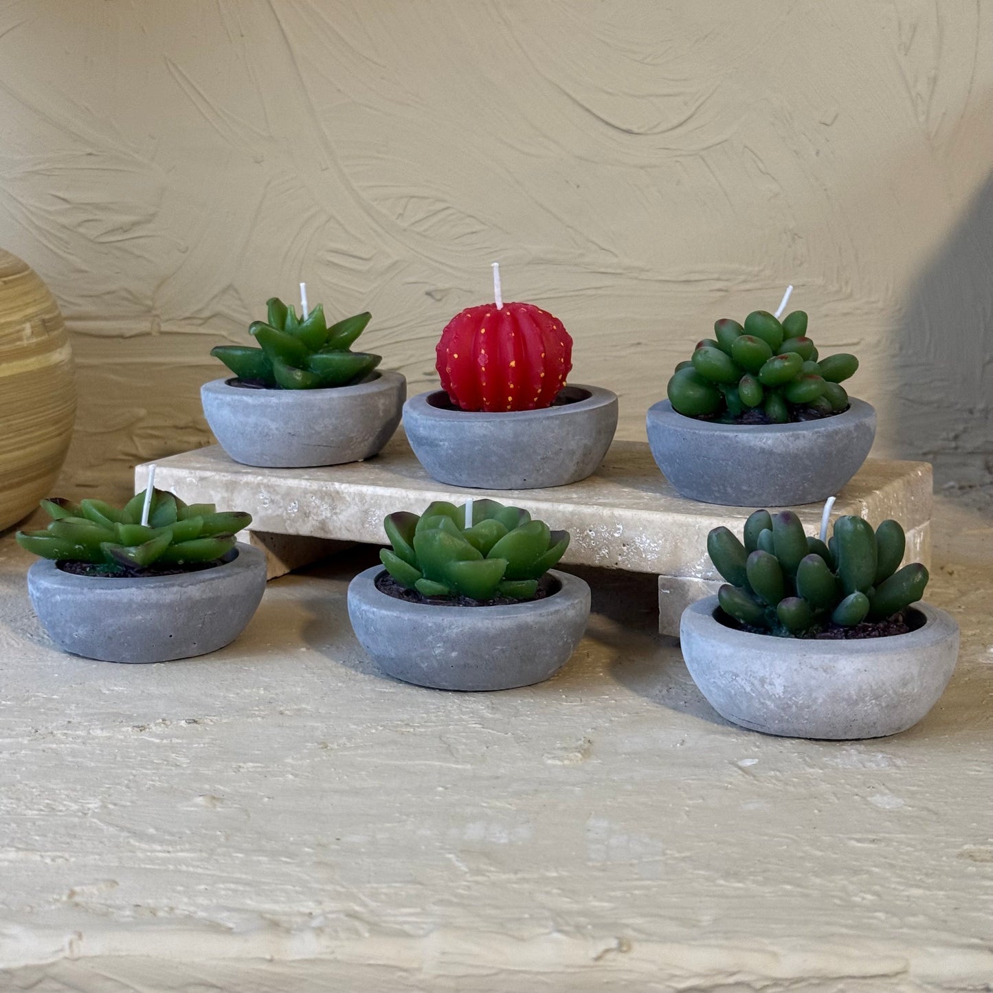 Tutku 6 Adet Kaktüs Mum Seti 8 cm