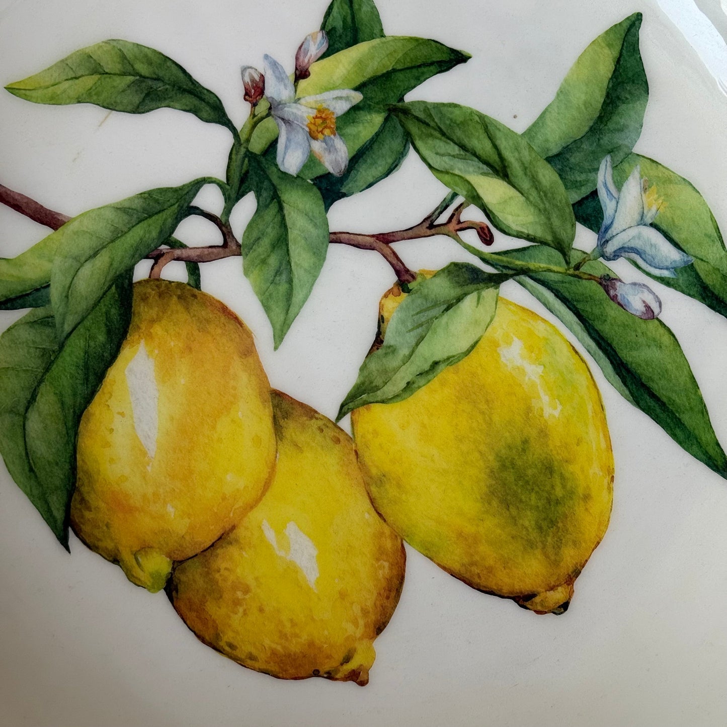 Selin Yuvarlak Büyük Boy Sunumluk Meyvelik Lemon Desenli KOD:HSL-03