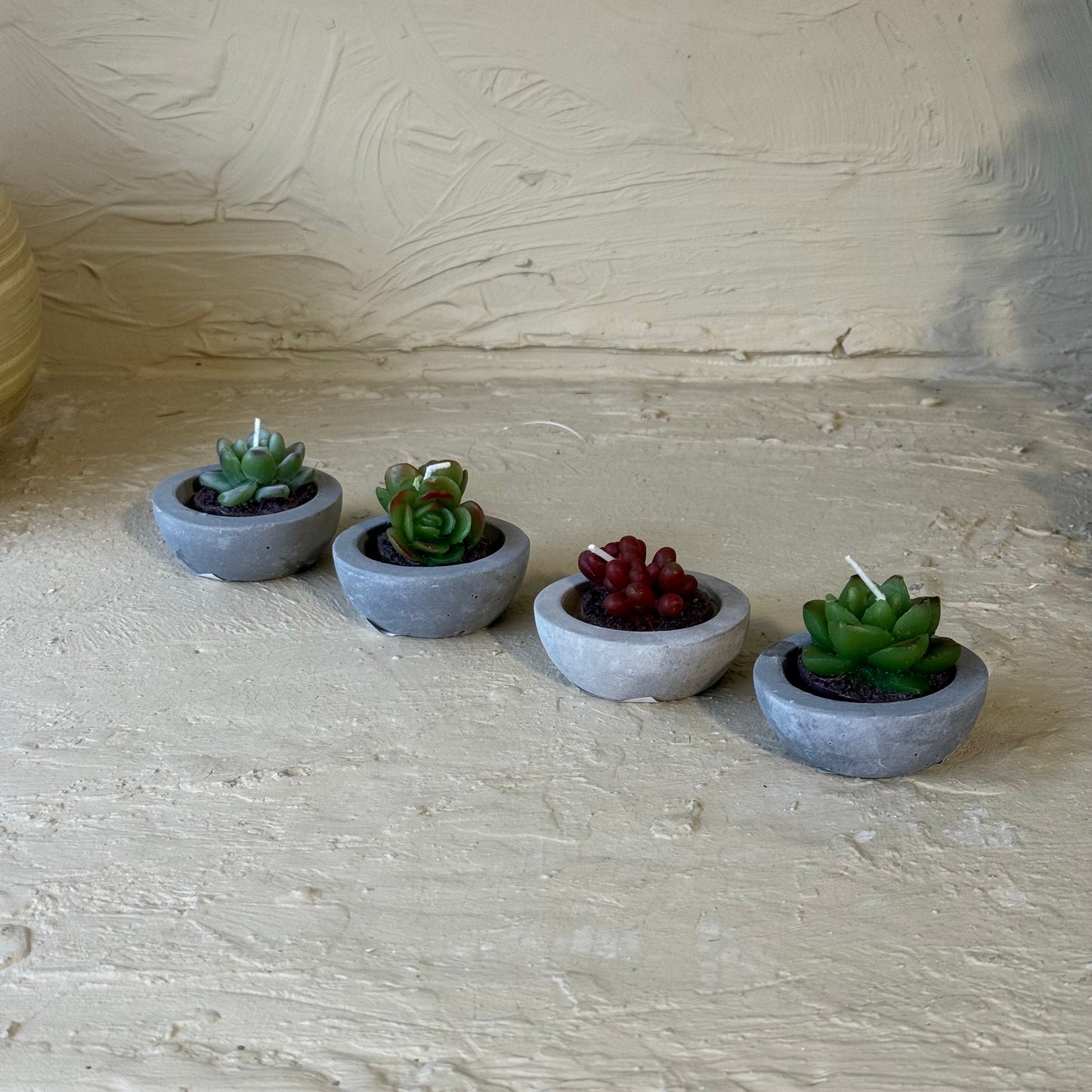 Kaktüs Saksılı Çiçek Mum Seti 4 Adet 6 CM