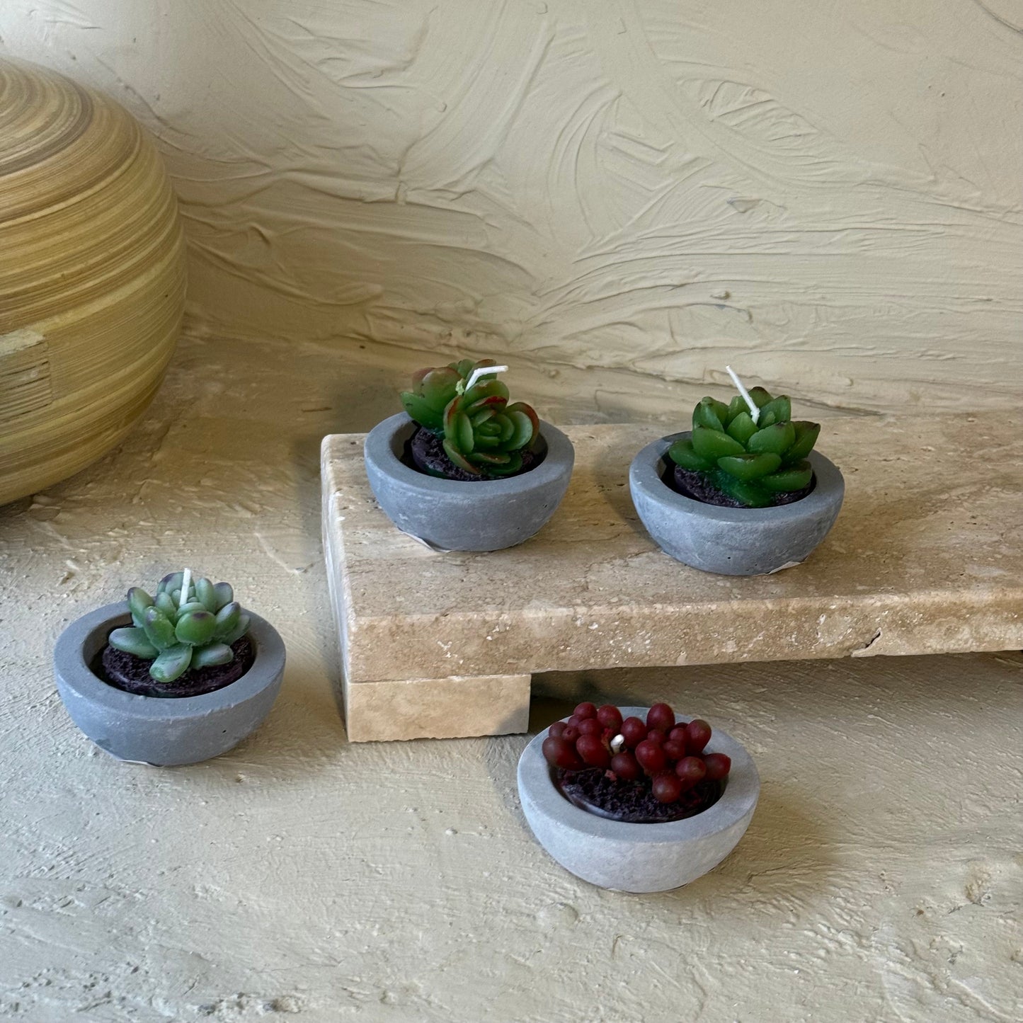 Kaktüs Saksılı Çiçek Mum Seti 4 Adet 6 CM