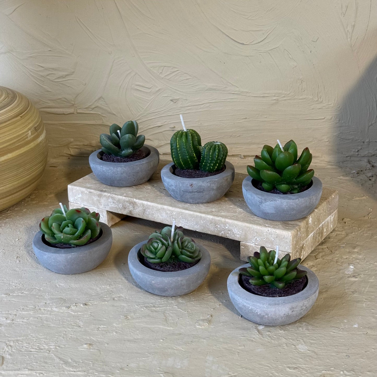 Tutku 6 Adet Kaktüs Mum Seti 8 cm