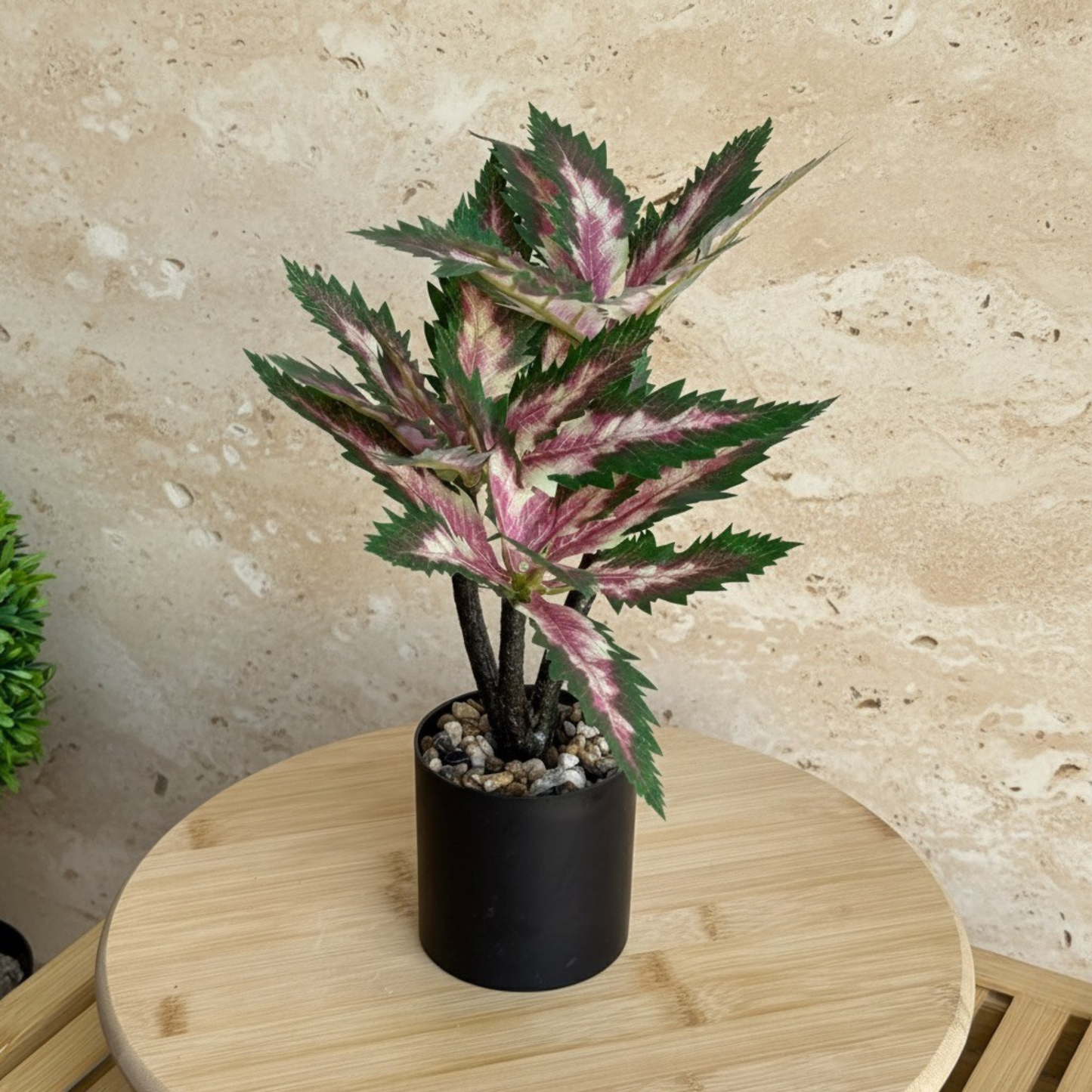 Coleus Saksılı Yapay Çiçek 30 cm Yeşil-Pembe