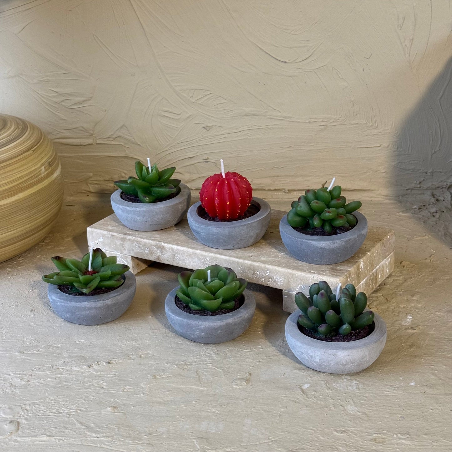Tutku 6 Adet Kaktüs Mum Seti 8 cm