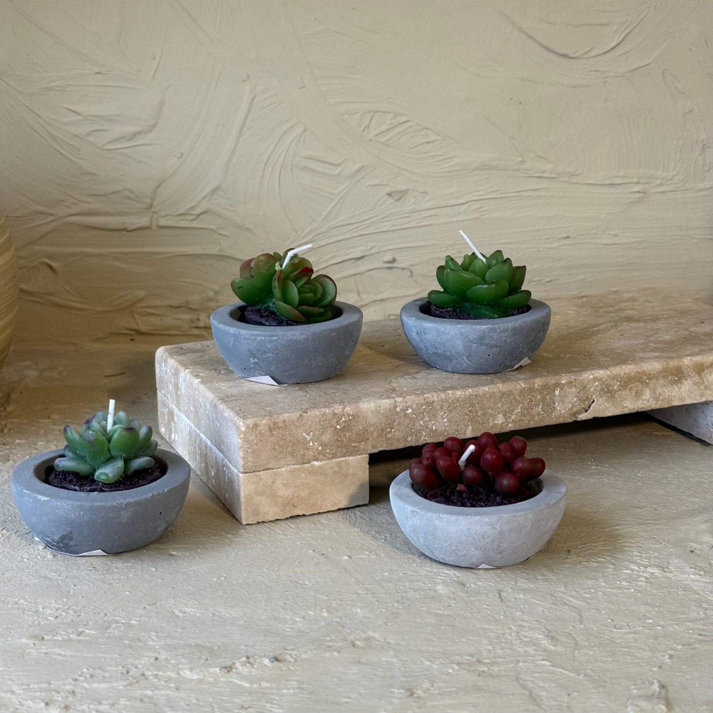 Kaktüs Saksılı Çiçek Mum Seti 4 Adet 6 CM